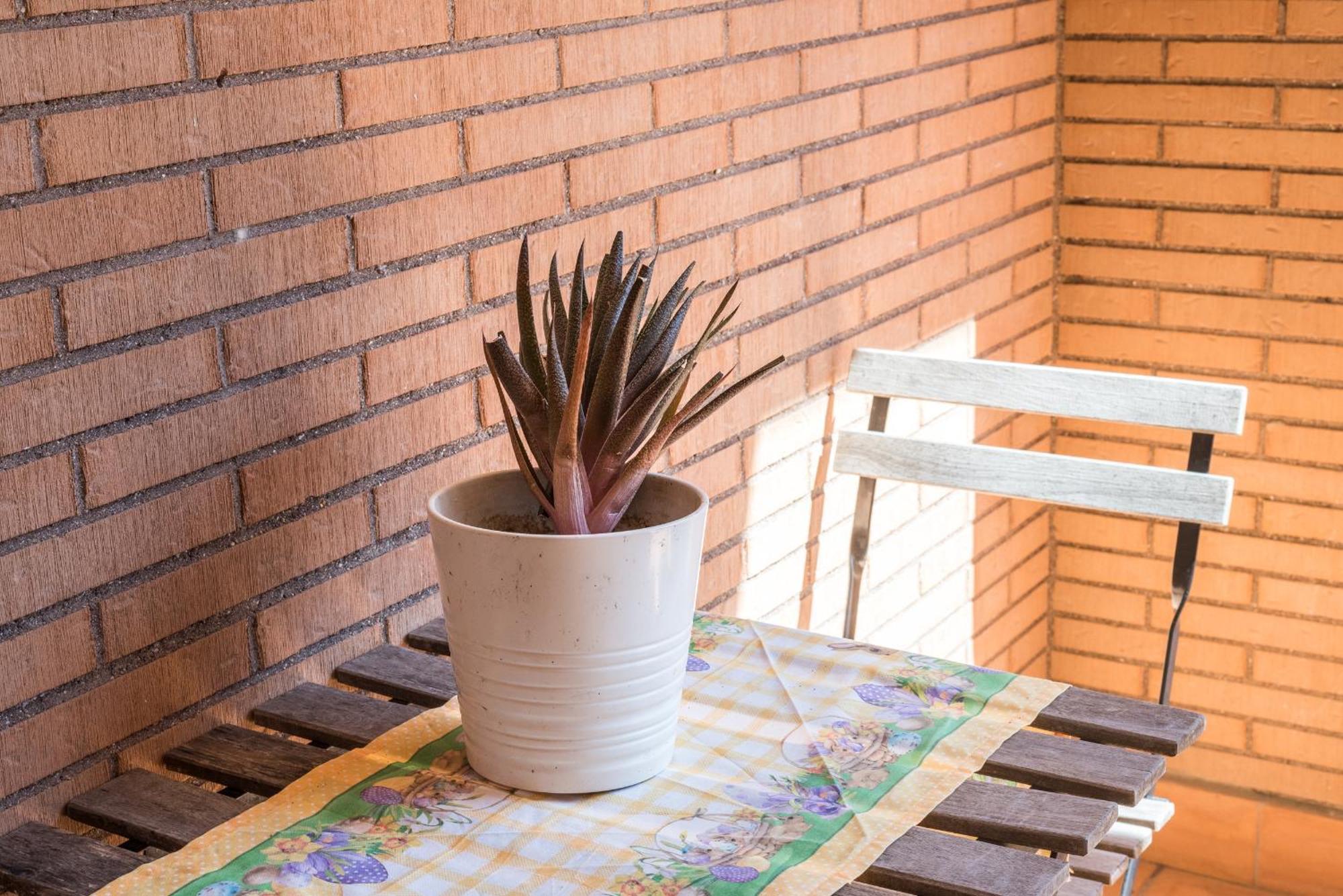 Travelershome Ciampino Suite Zewnętrze zdjęcie