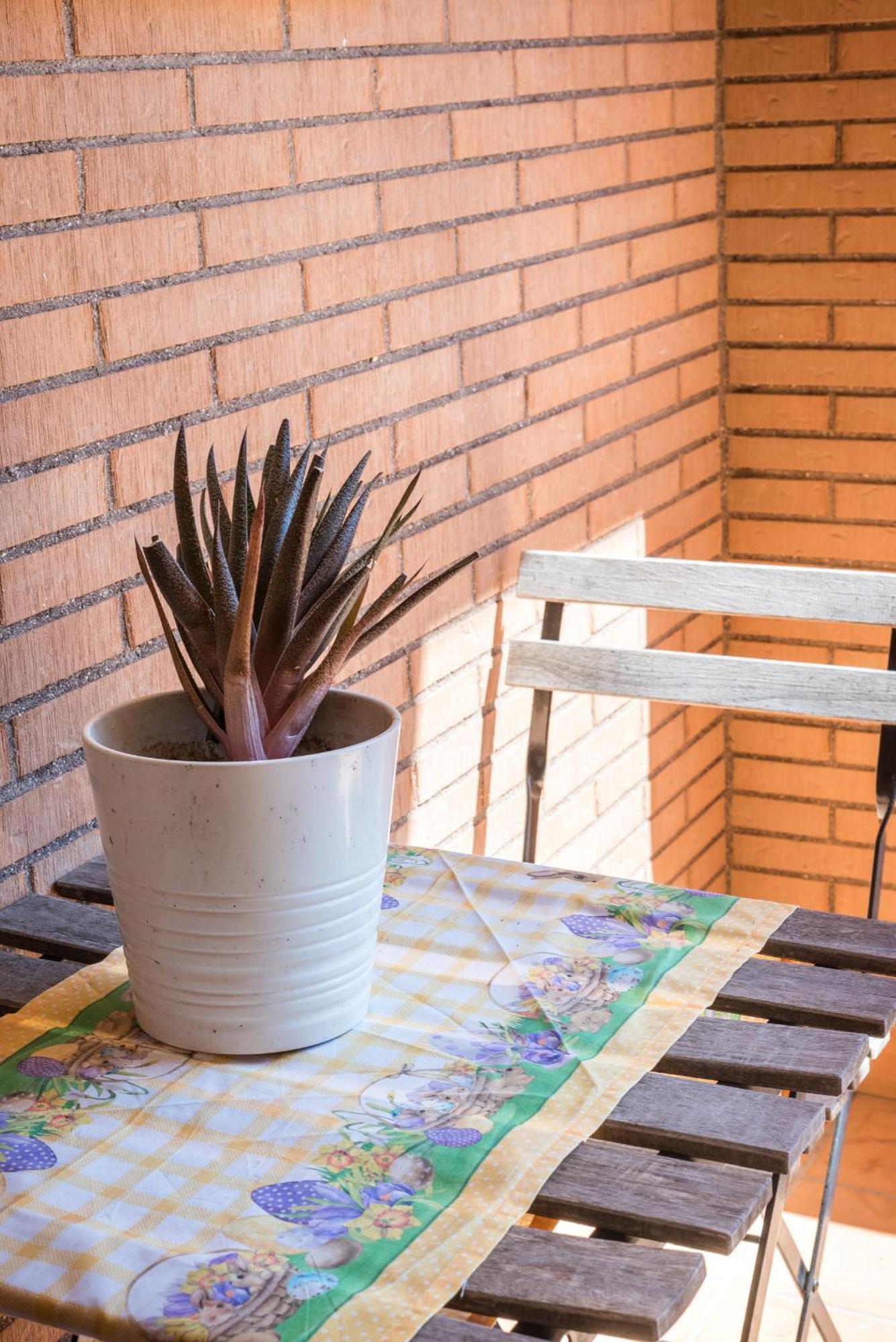Travelershome Ciampino Suite Zewnętrze zdjęcie